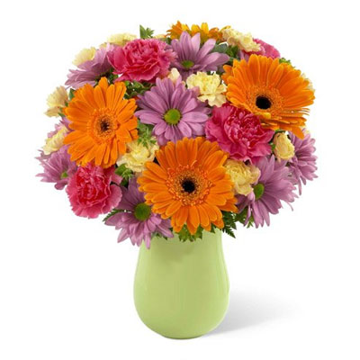 Daisies/Gerberas